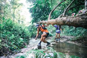 BIB: 
                            <button type="button" onclick="openModal(25431675)" class="btn btn-primary btn-sm float-right btn-popup" data-toggle="modal" data-target=".modal-high-quality">
                        <i class="fas fa-shopping-cart"></i> Add to Cart
                    </button>
                                            <button type="button" onclick="isThisMe(25431675, true)" class="btn btn-success btn-sm float-right btn-popup btn-isme hidden" data-toggle="tooltip" data-placement="bottom" title="นี่คือรูปของคุณใช่ไหม คลิกที่นี่เพื่อเอาเข้าอัลบั้ม">
                        <i class="fas fa-plus"></i> Add to album
                    </button>
                    <button type="button" onclick="isThisMe(25431675, false)" class="btn btn-warning btn-sm float-right btn-popup btn-isnotme hidden">
                        <i class="fas fa-ban"></i> Remove from album
                    </button>